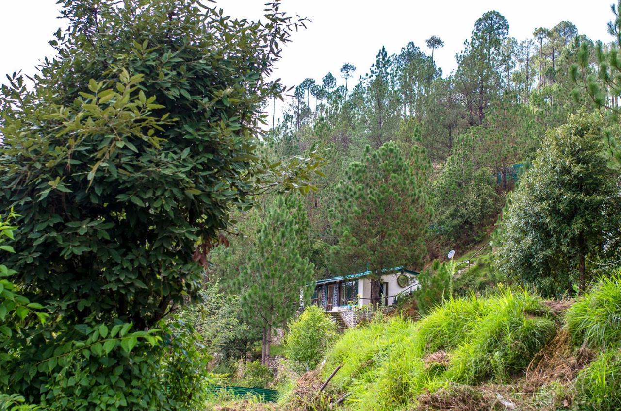 Happy Dervish Homestay Mukteshwar Ngoại thất bức ảnh