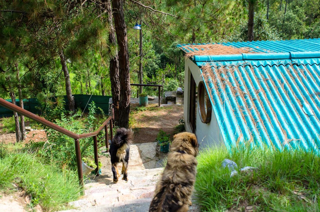 Happy Dervish Homestay Mukteshwar Ngoại thất bức ảnh