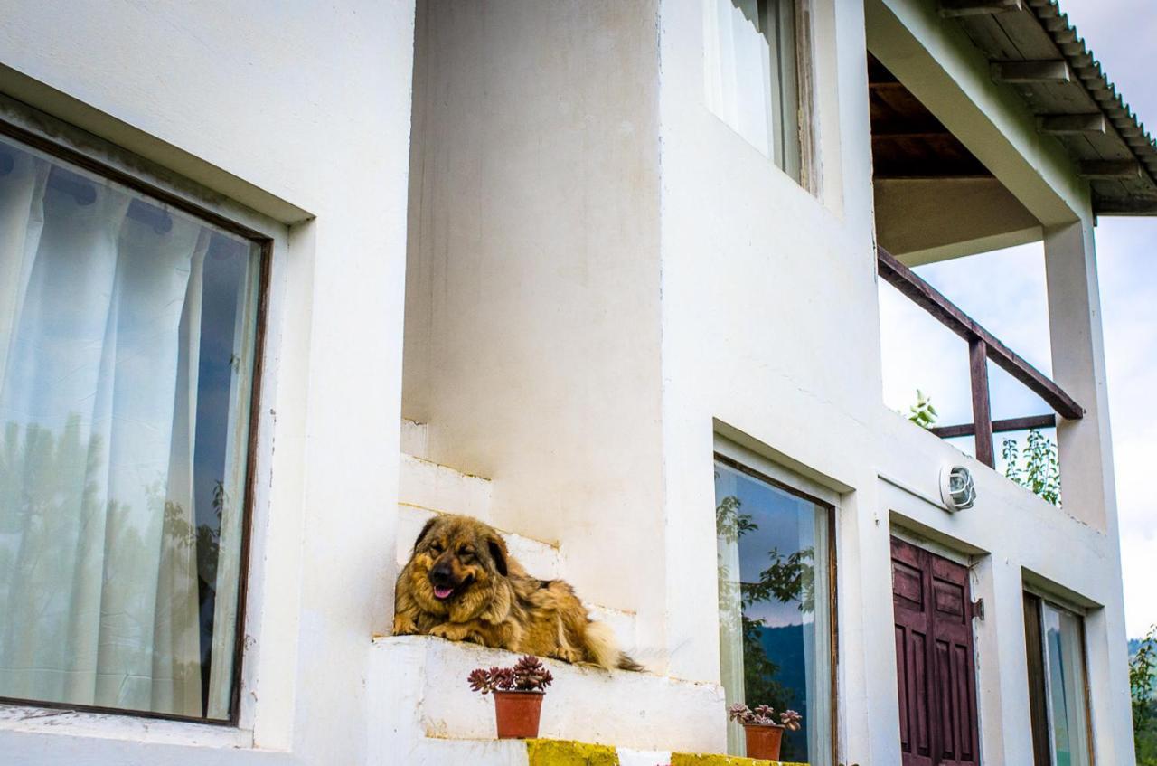 Happy Dervish Homestay Mukteshwar Ngoại thất bức ảnh