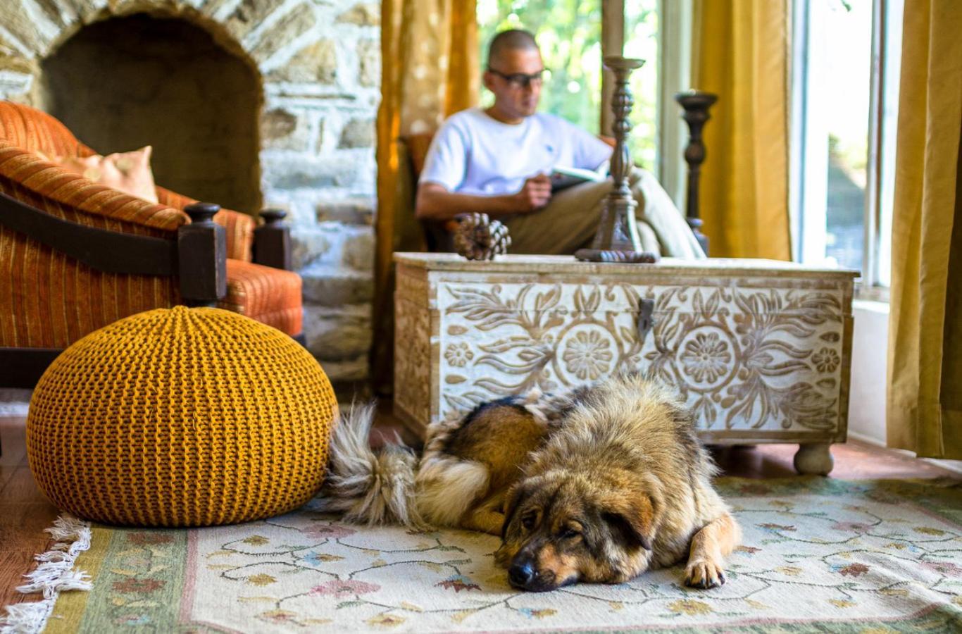 Happy Dervish Homestay Mukteshwar Ngoại thất bức ảnh
