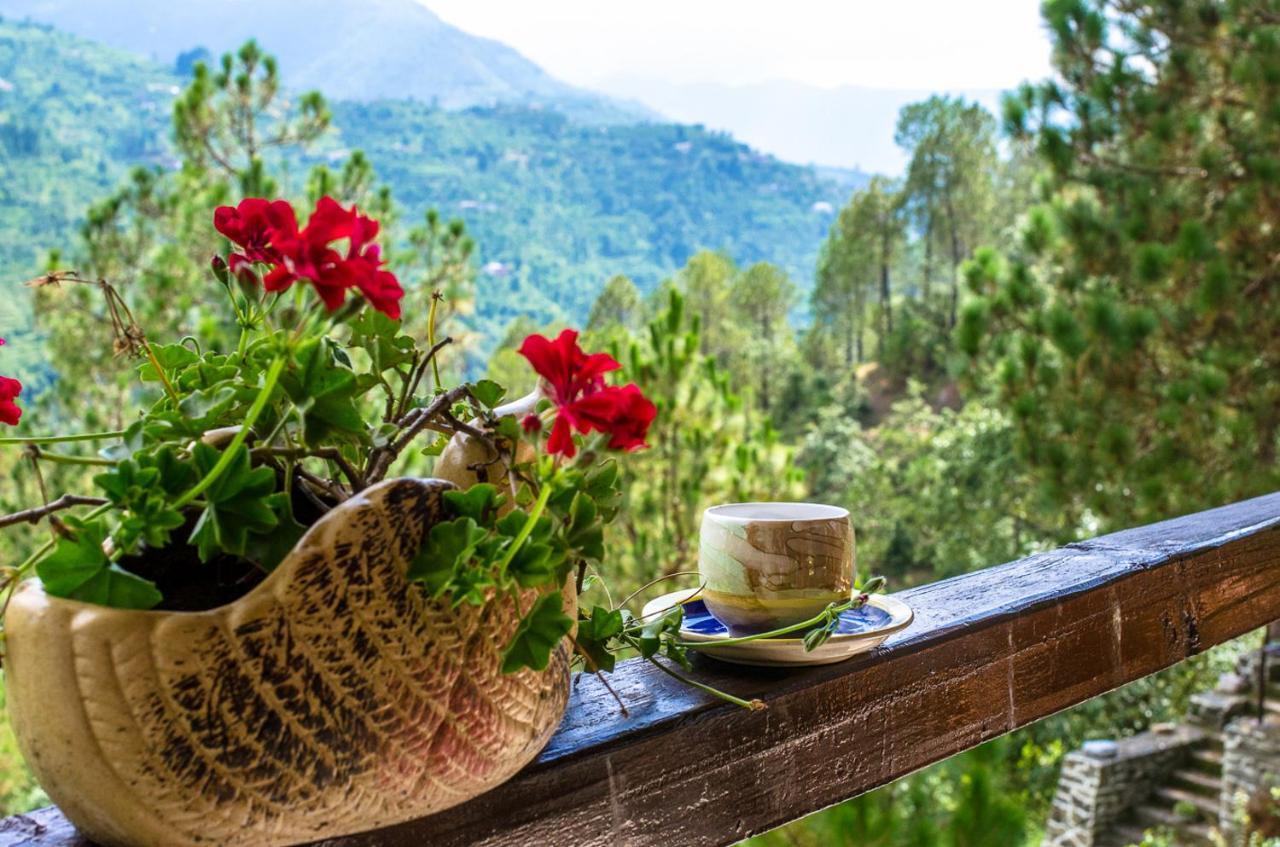 Happy Dervish Homestay Mukteshwar Ngoại thất bức ảnh